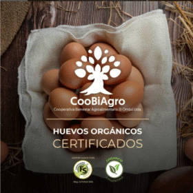 huevos orgánicos certificados