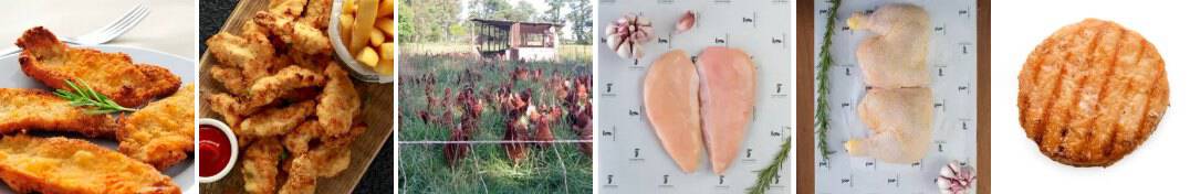 Milanesas de suprema, lomitos apanados, gallinas libres de jaula, pechugas, pata y muslo y hamburguesas de pollo